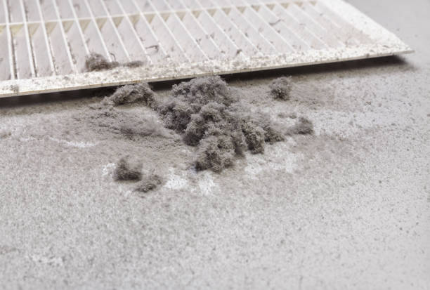 Best HVAC Duct Inspection Services  in Mianna, AR