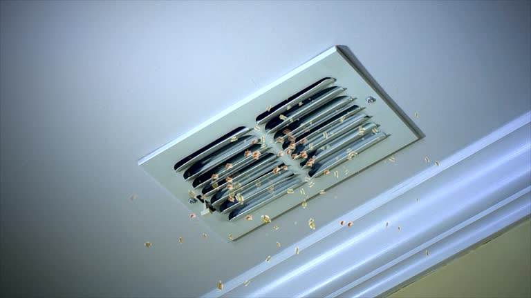 Best Air Duct Cleaning Cost  in Mianna, AR
